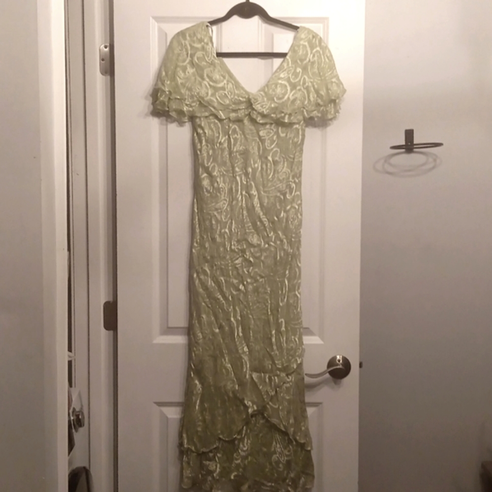 Cameron Blake by Mon Cherie Silk Beaded Bridal Gown  10 sage green NWT